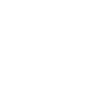 Steelriseaus logo